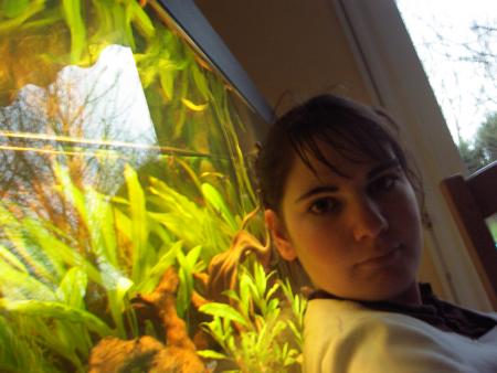 on dirai une photo l'aquarium!